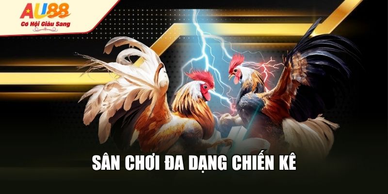 Sân chơi đa dạng chiến kê